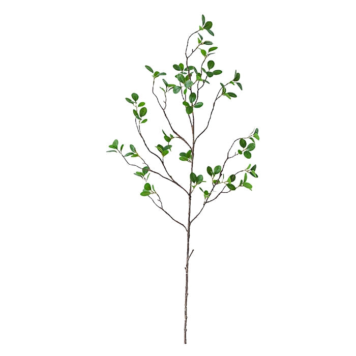 DILAS HOME 2pc Artificial Fake Realistic Green Faux Aglaia Odorata Tree ...