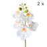 2pc Artificial Butterfly Orchid Flower Set