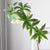 2pc Artificial Elaeocarpus Leaf Branch Set