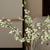 3pc Artificial White Fontanesia Fortunei Plant Set