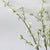 3pc Artificial White Fontanesia Fortunei Plant Set