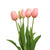 5pc Artificial Tulip Bunch Set