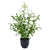 60cm Artificial Olive Leaf Potted Plant