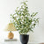 60cm Artificial Olive Leaf Potted Plant