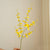 6pc Artificial Golden Shower Oncidium Orchid Plant Set