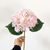 7pc Artificial Anthurium Hydrangea Orchid Flower Set