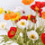 8pc Artificial Poppy Flower Bouquet Set