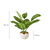 Artificial Pin Stripe Calathea Plant