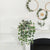 Artificial Eucalyptus Leaves Wall Decor