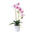 Artificial Potted Double Stem Orchid