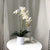 Artificial Potted Double Stem Orchid