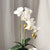 Artificial Potted Double Stem Orchid