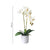 Artificial Potted Double Stem Orchid