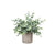 Artificial Green Leaf Plant with Pot