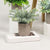 Artificial Green Leaf Plant with Pot