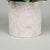 Artificial Green Leaf Plant with Pot