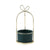 Ribbon Gift-shaped Gold Plant Pot