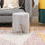 Gold Velvet Pouf with Stand