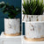 Gold x Marble Effect Plant Pot with Tray