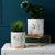 Gold x Marble Effect Plant Pot with Tray