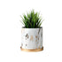 Gold x Marble Effect Plant Pot with Tray