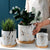 Gold x Marble Effect Plant Pot with Tray