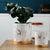 Gold x Marble Effect Plant Pot with Tray