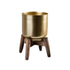 Gold Plant Pot with Wooden Stand