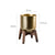 Gold Plant Pot with Wooden Stand