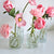 Mini Clear Glass Flower Vase