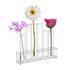 6 Test Tube Stem Vase With Holder Stand