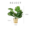 REJECT Vase Pot & Plant A