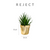 REJECT Vase Pot & Plant A