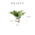 REJECT Vase Pot & Plant A