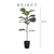 REJECT Vase Pot & Plant B