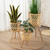 Woven Bamboo Plant Pot Holder Stand